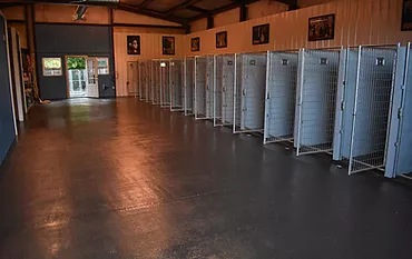 Boarding Facility Dog Boarding