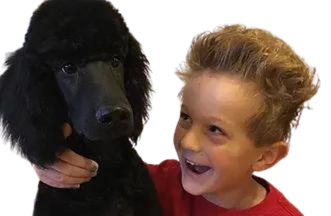 Courthill Poodles