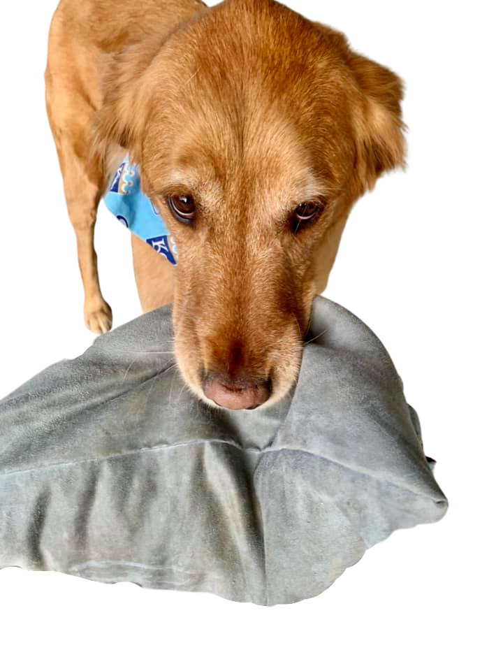 Pillow